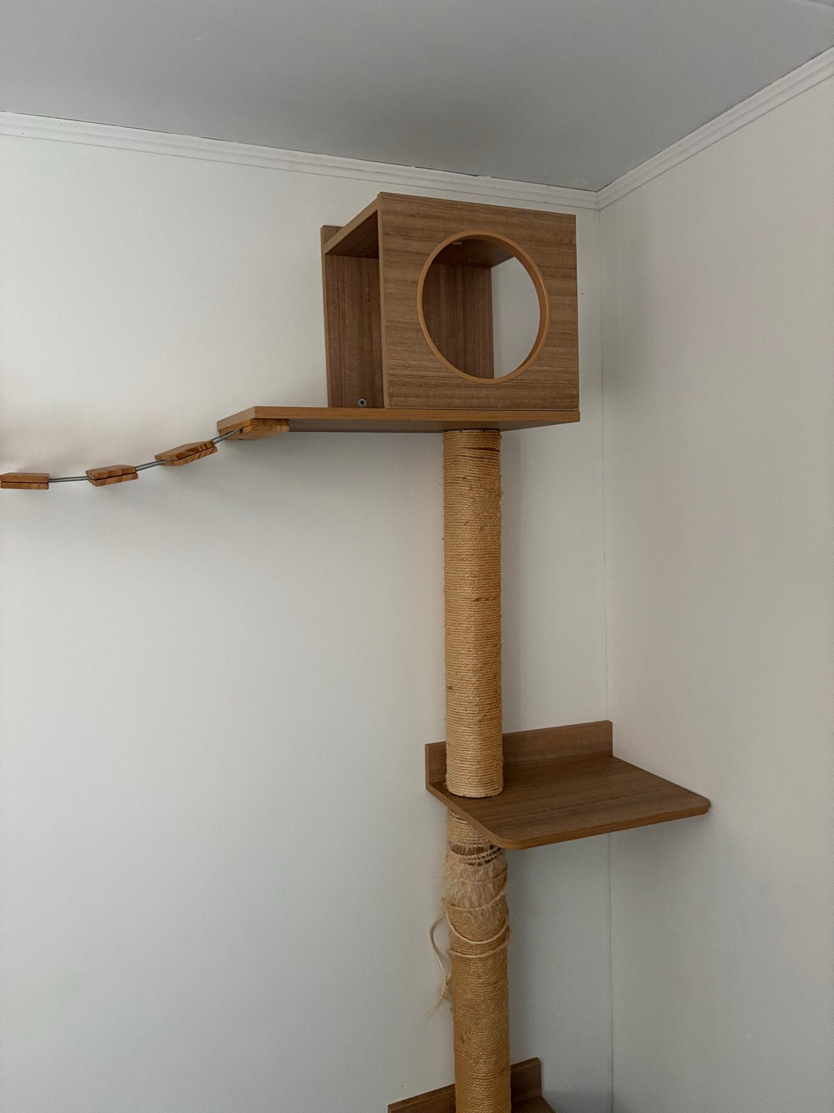Klim wand voor katten, Ophalen