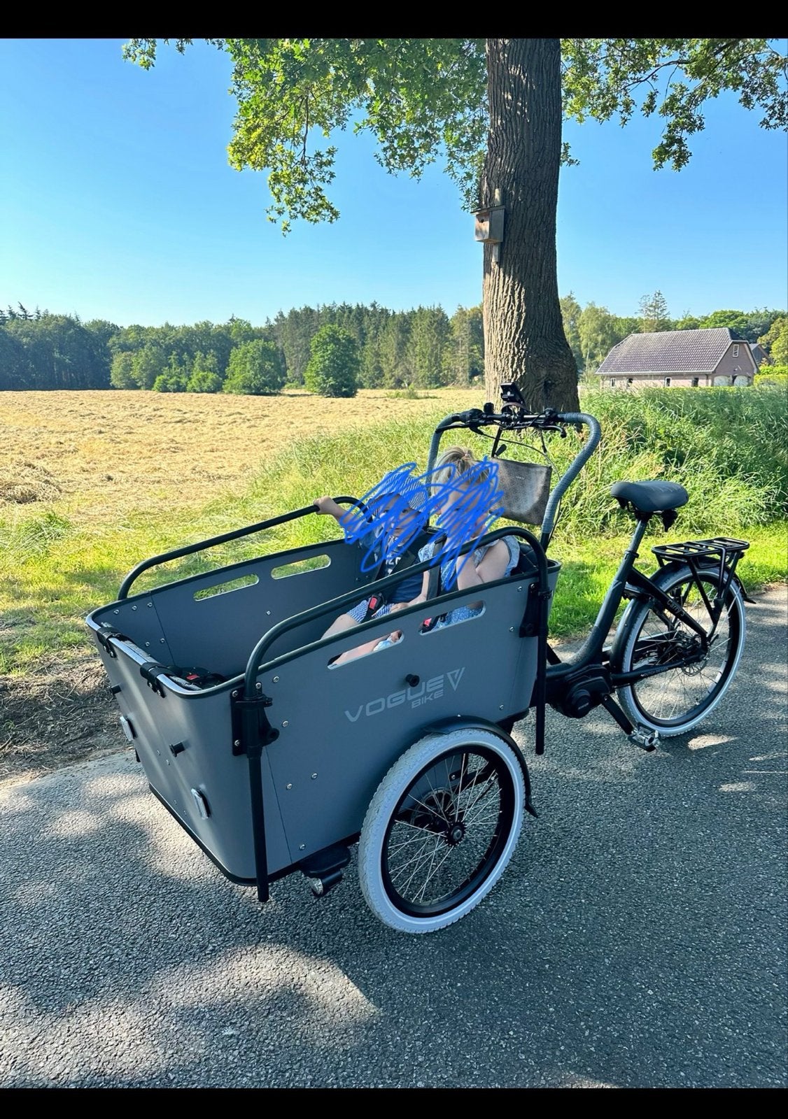 Vogue carry 3 electrische bakfiets, 4 kinderen of meer, Gebruikt, Elektrisch, Schijfrem