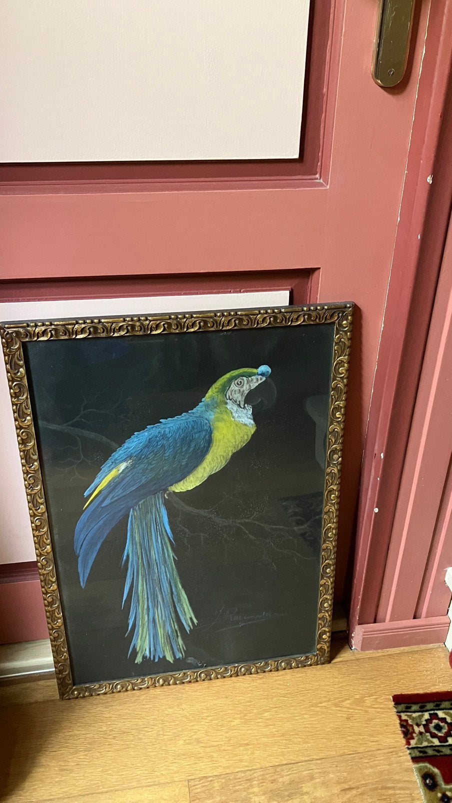 Schilderij van een papagaai, pastelkrijt, Ophalen, Nederlandse school, Dieren, Papier