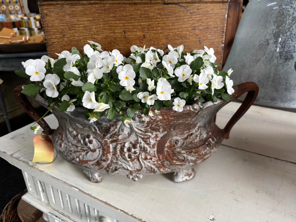 Grijs roestkleurige jardiniere Carlotte antiek en brocante, Antiek en Kunst, Curiosa en Brocante, Ophalen of Verzenden