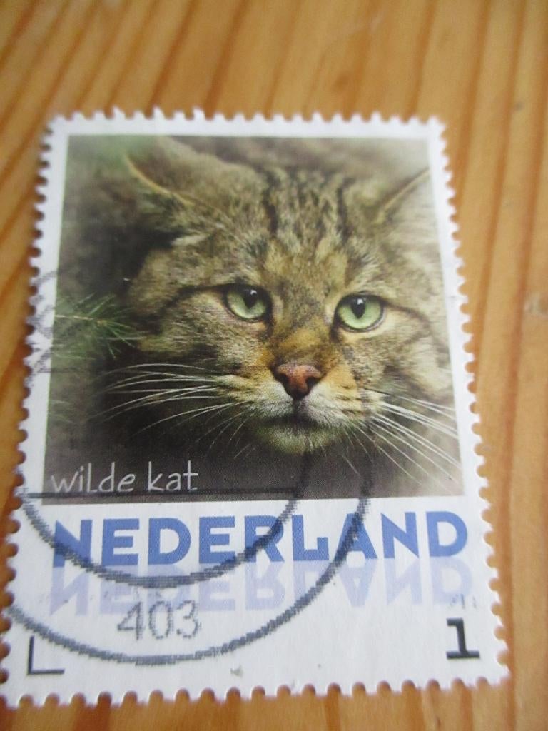 postzegels, Ophalen of Verzenden, Gestempeld