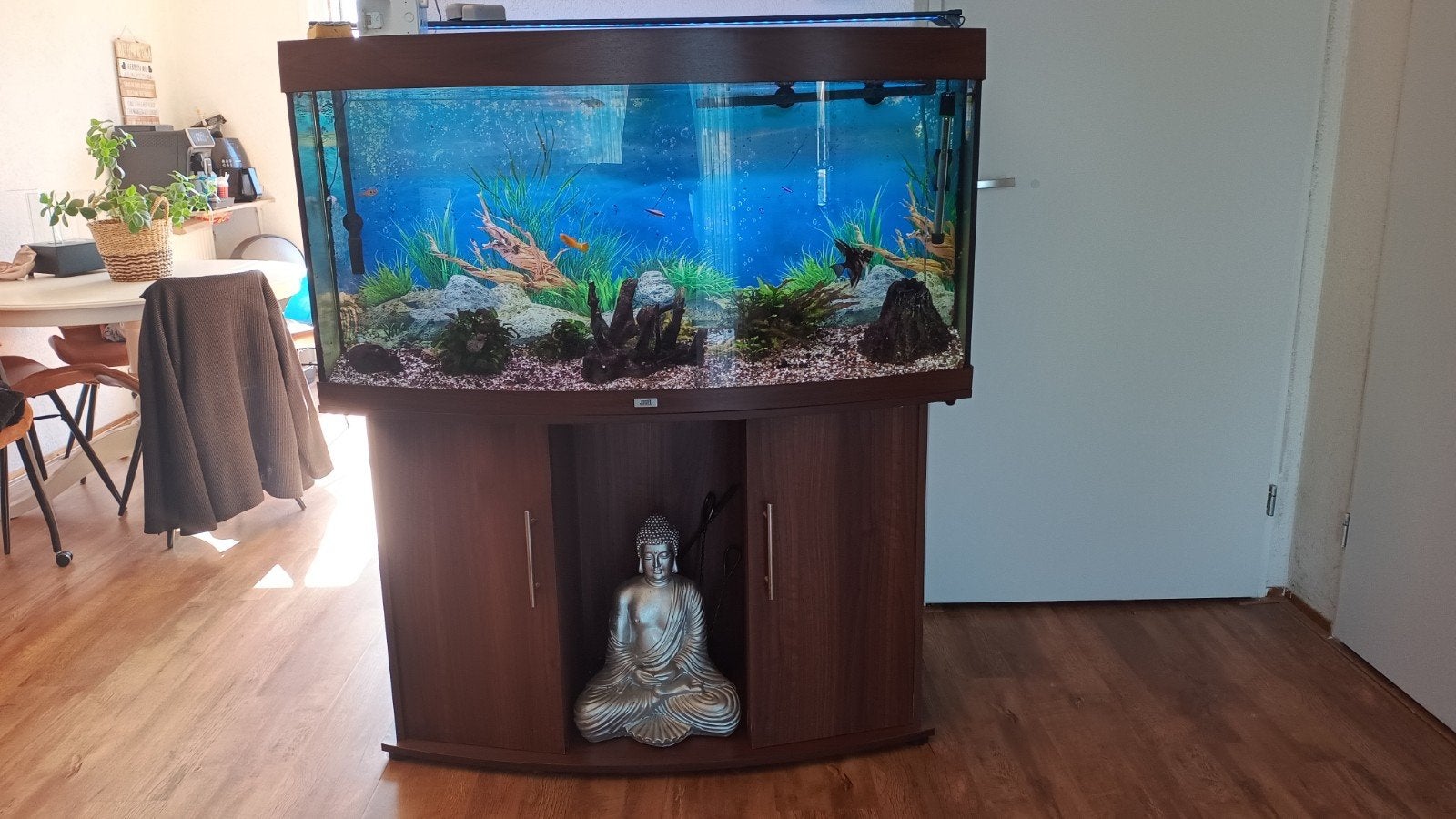 Aquarium Juwel, Vis