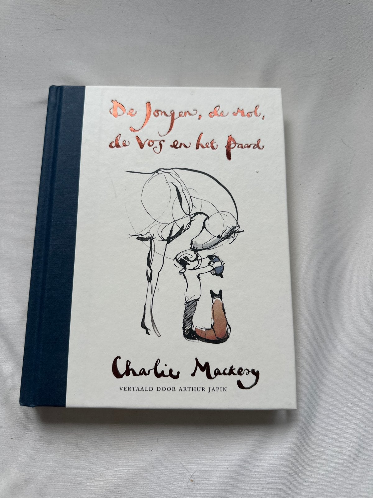 De Jongen, de Mol, de Vos en het Paard - Charlie Mackesy, Ophalen of Verzenden, Zo goed als nieuw, Nederland