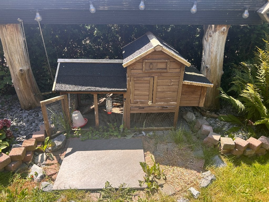 Kippenhok, Dieren en Toebehoren, Ophalen, Gebruikt, Kippenhok of Kippenren