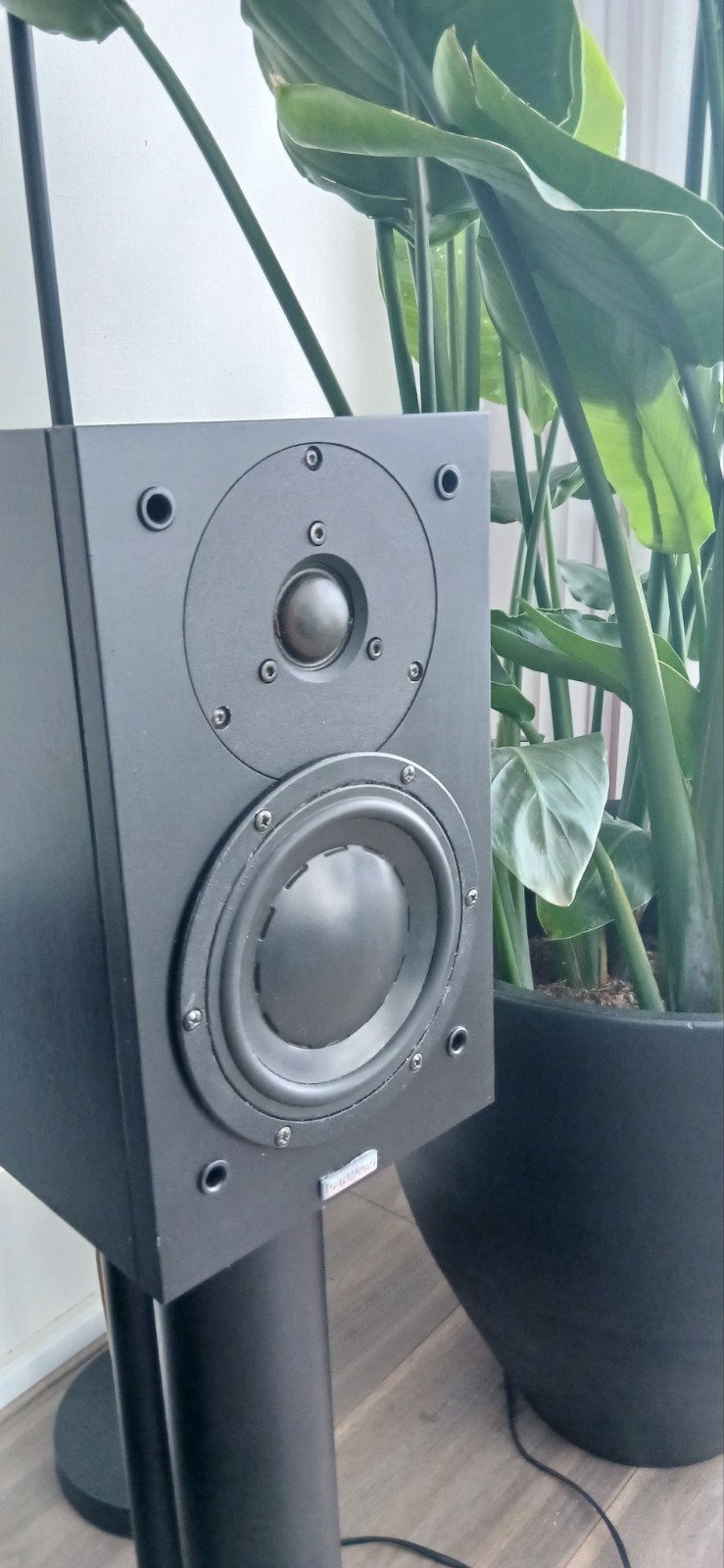 Dynaudio audience 40 met D 260 tweeter.
