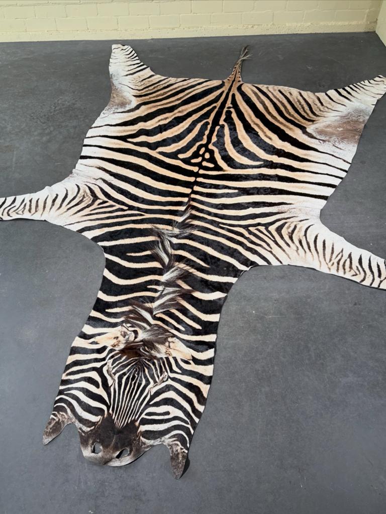 Prachtige Zebra Huid - Decoratief en Uniek, Ophalen, B, 100 tot 150 cm, Wit