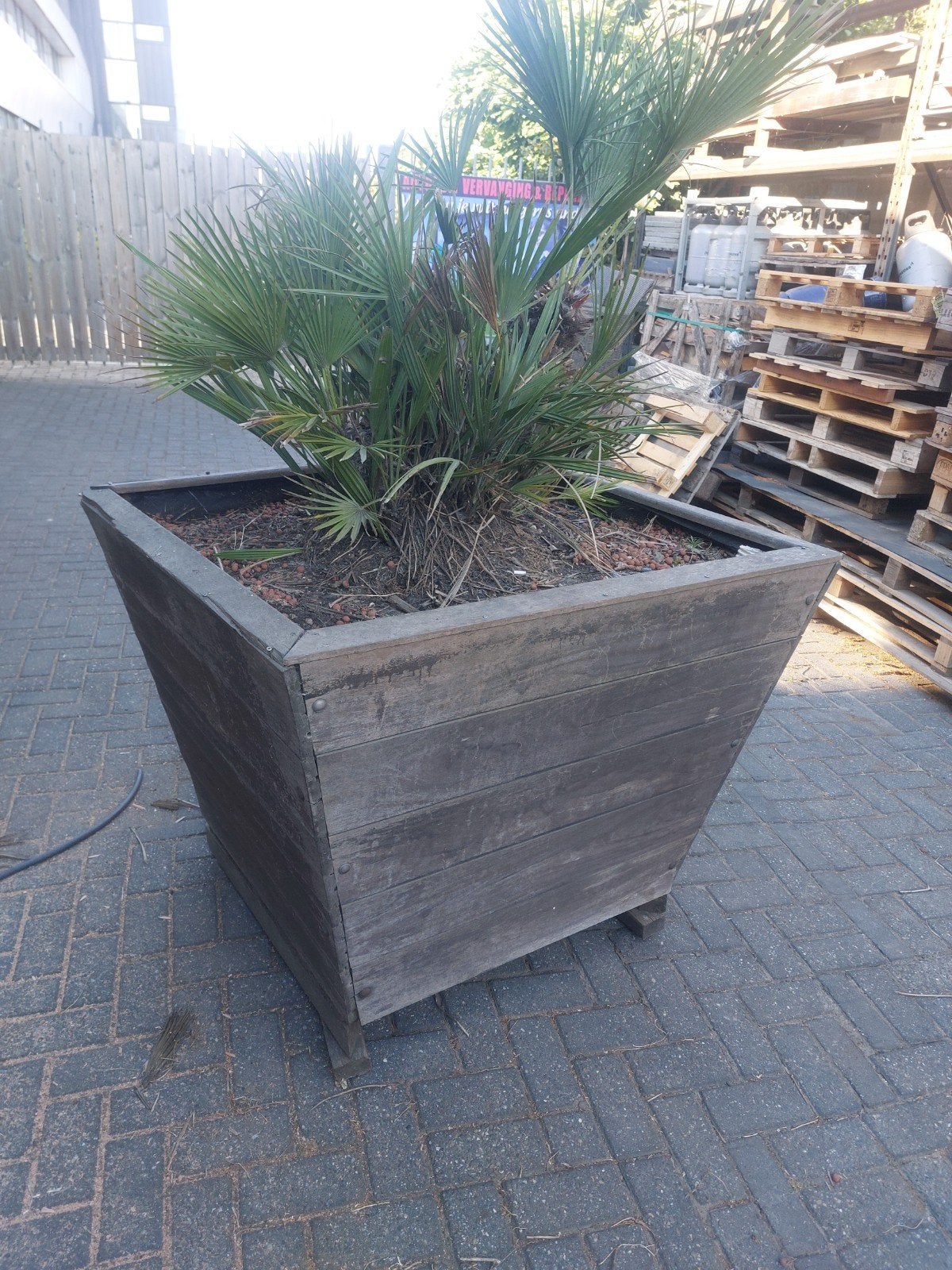 Grote hardhouten plantenbak 110cm  met winterharde palm, Ophalen, Vierkant, Hout, 60 cm of meer