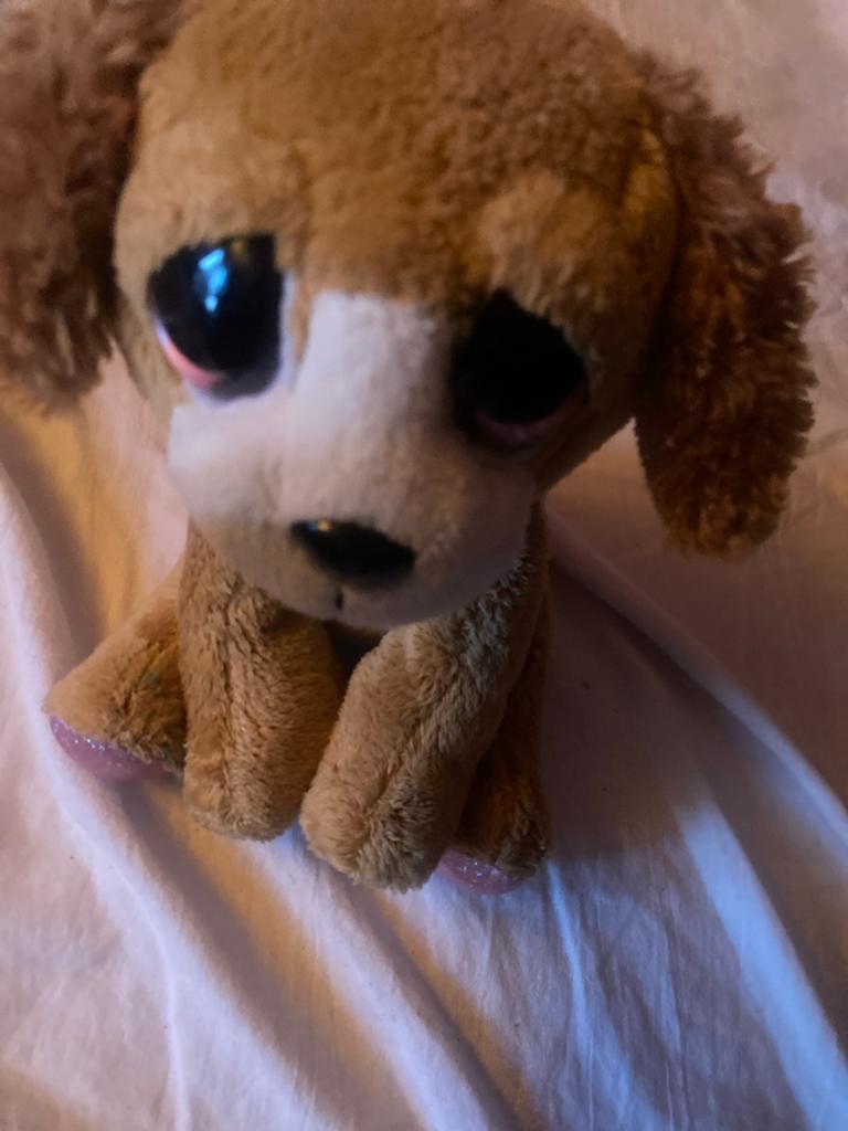 Schattige  Hond Knuffel - Bruin/Wit, Zo goed als nieuw, Klein (minder dan 20 cm), Bruin, Ty