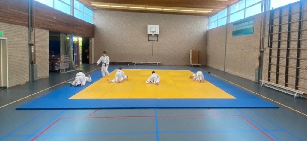 140 m² Judomatten – geel/blauw – 4 cm dik, Ophalen, Judo, Zo goed als nieuw, Vechtsportmateriaal
