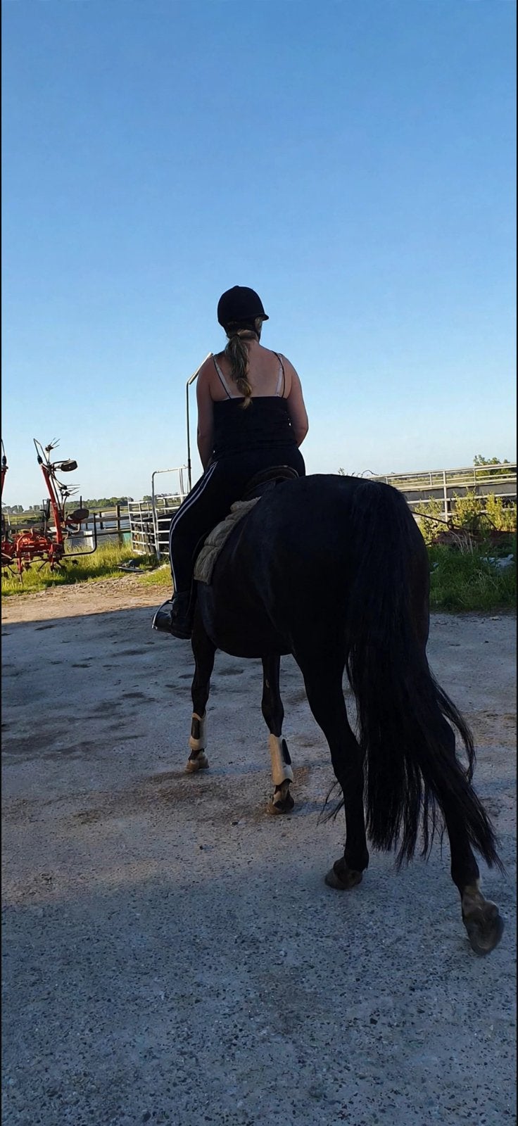 Verzorg paard / pony gezocht, Ophalen, Zo goed als nieuw