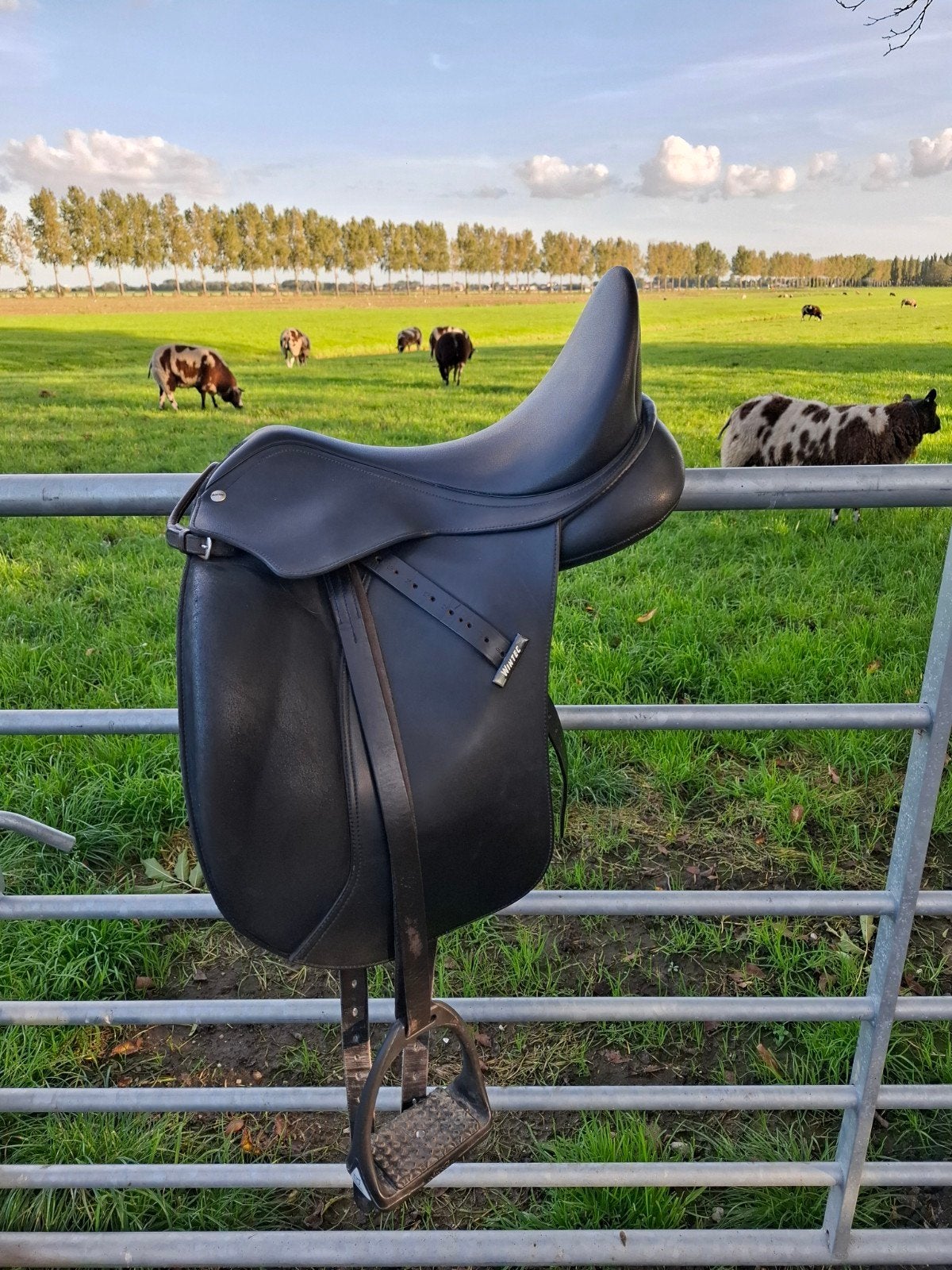 Wintec dressuur zadel 16,5 inch, Ophalen, Gebruikt, Dressuur, Wijd