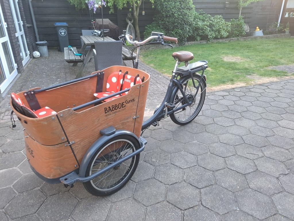Elektrische Bamboe Bakfiets met Schijfremmen en Huif, Ophalen of Verzenden