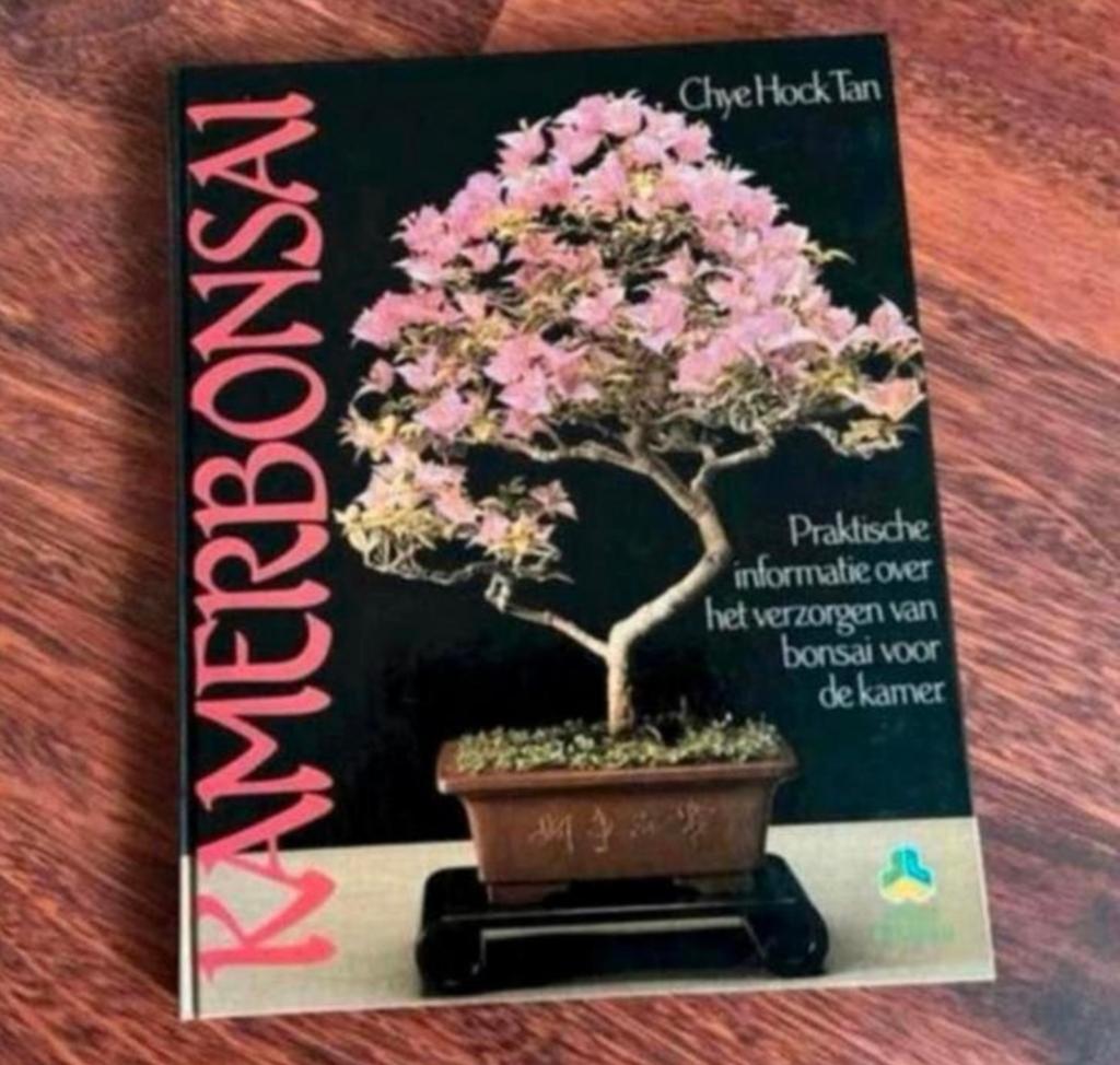 Bonsai boek "Kamer Bonsai" van Chye Hock Tan., Ophalen of Verzenden, Zo goed als nieuw, Overige onderwerpen