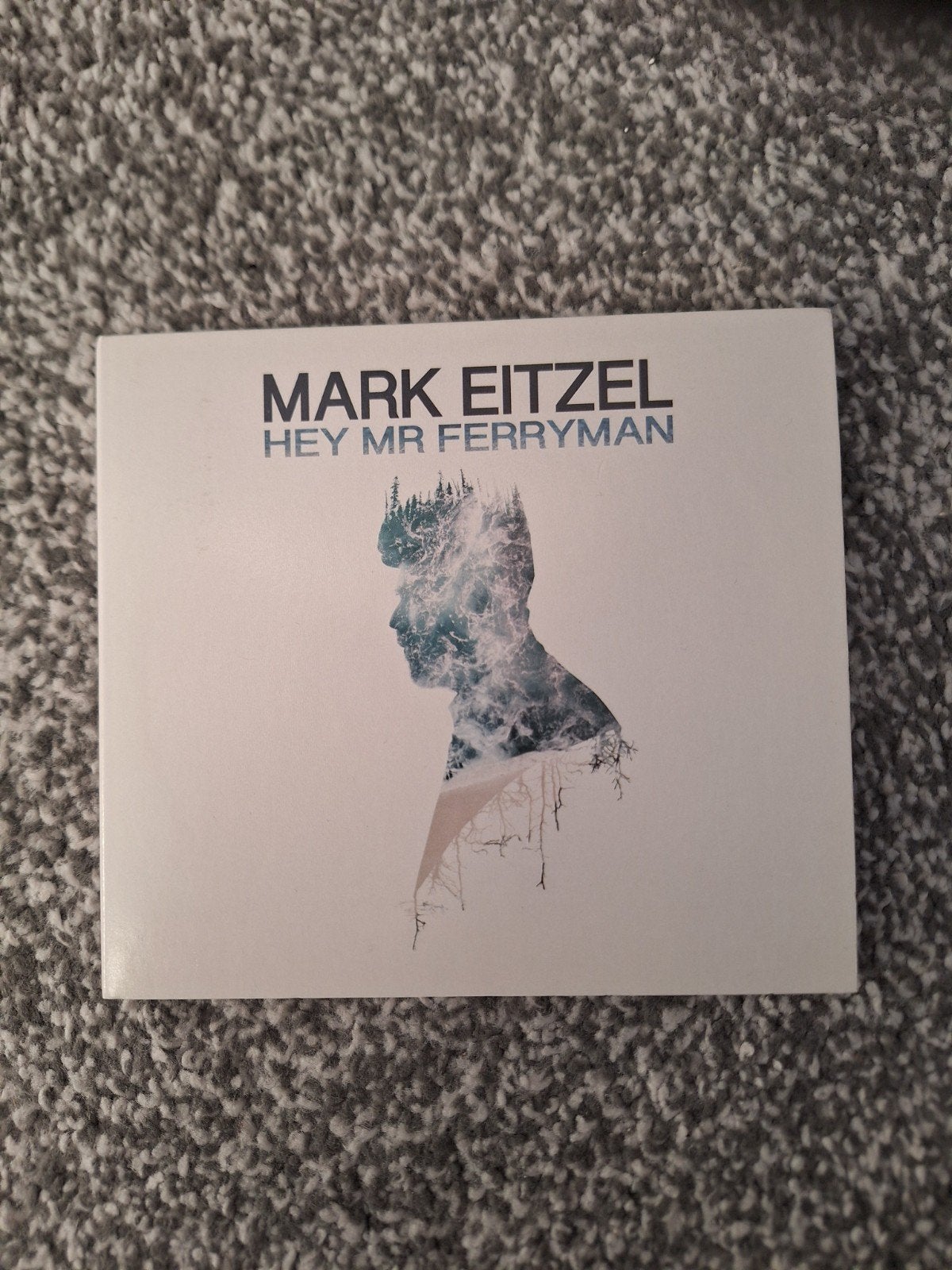 Mark Eitzel, Ophalen of Verzenden, Zo goed als nieuw, Poprock, Album