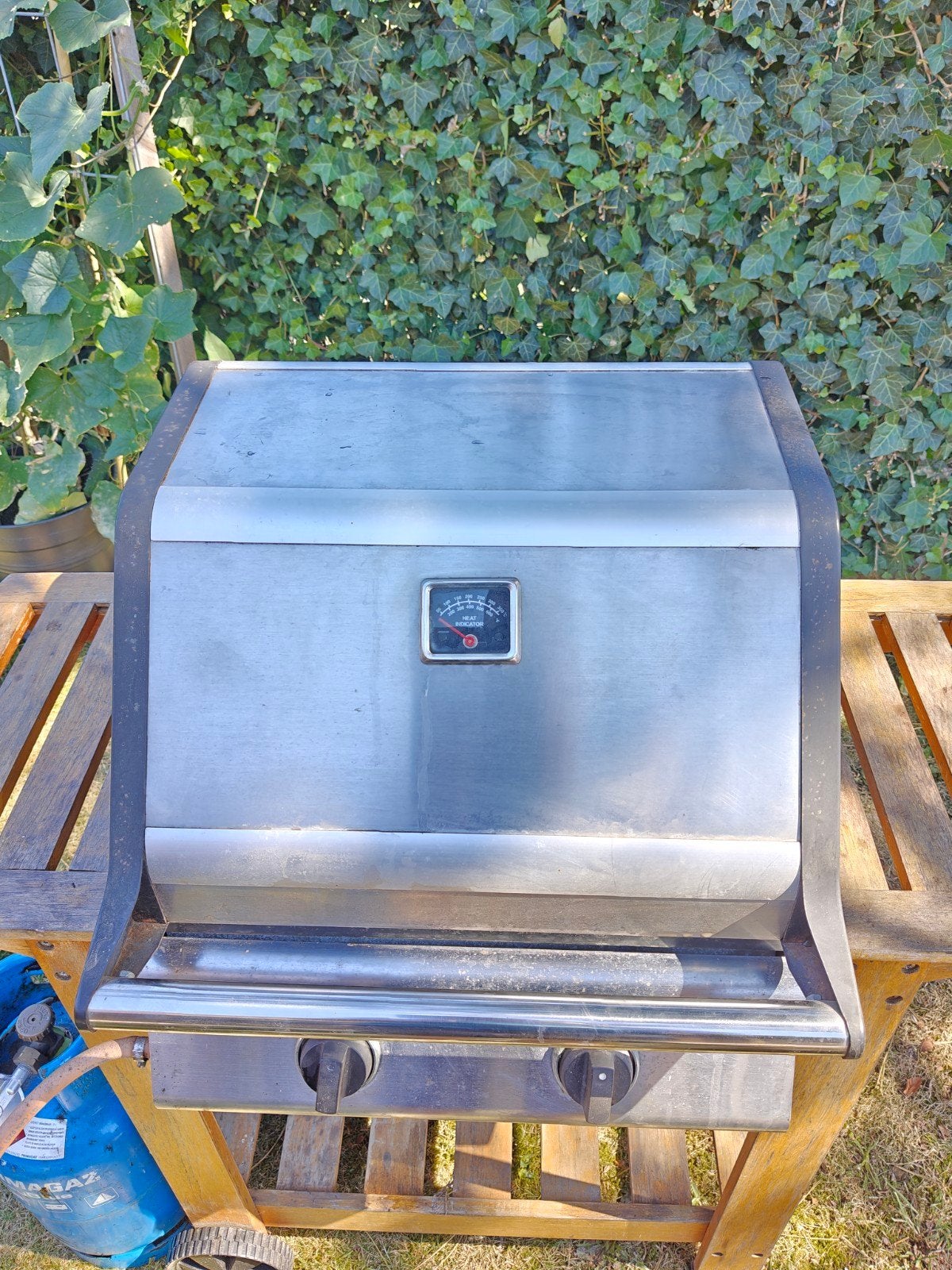 Gebruikte Merkloze Gasbarbecue met 2 Branders, Ophalen of Verzenden, Gebruikt, Merkloos
