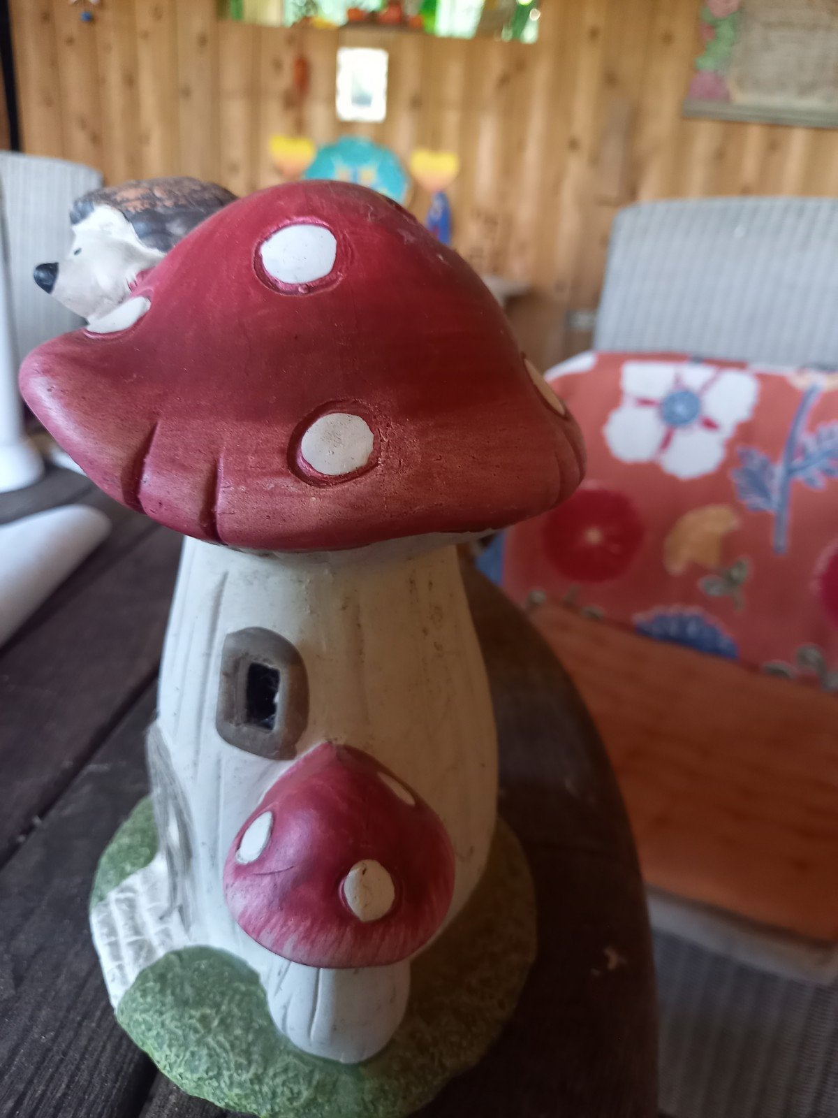 Paddestoel, Ophalen of Verzenden, Dier