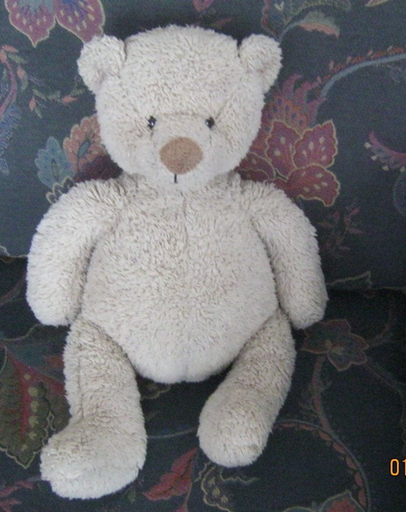 Knuffelbeer, Beer, Nieuw, Ophalen of Verzenden, Middelgroot (20 tot 80 cm)
