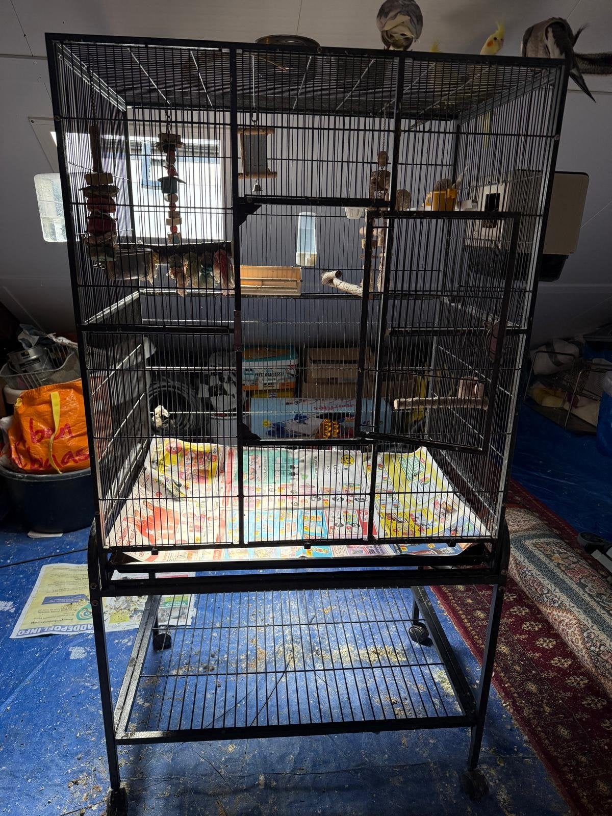 Grote papegaai kooi, Ophalen, Gebruikt, Metaal, Vogelkooi