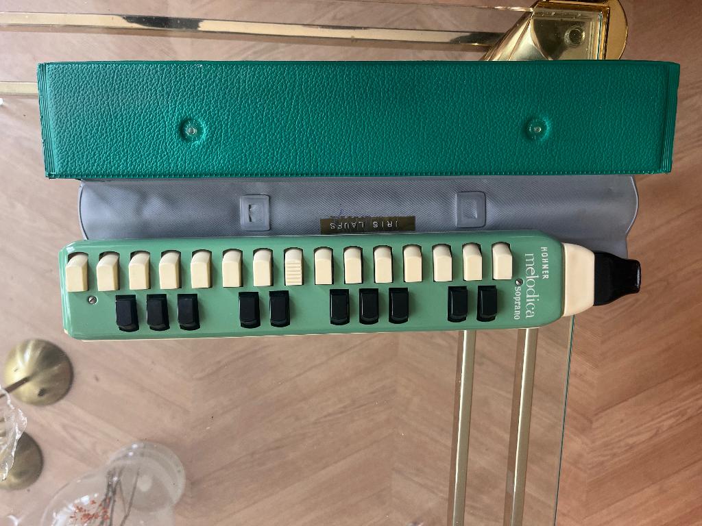 Hohner melodica soprano vintage blaasinstrument, Ophalen of Verzenden, Gebruikt, Overige soorten, Met koffer of draagtas