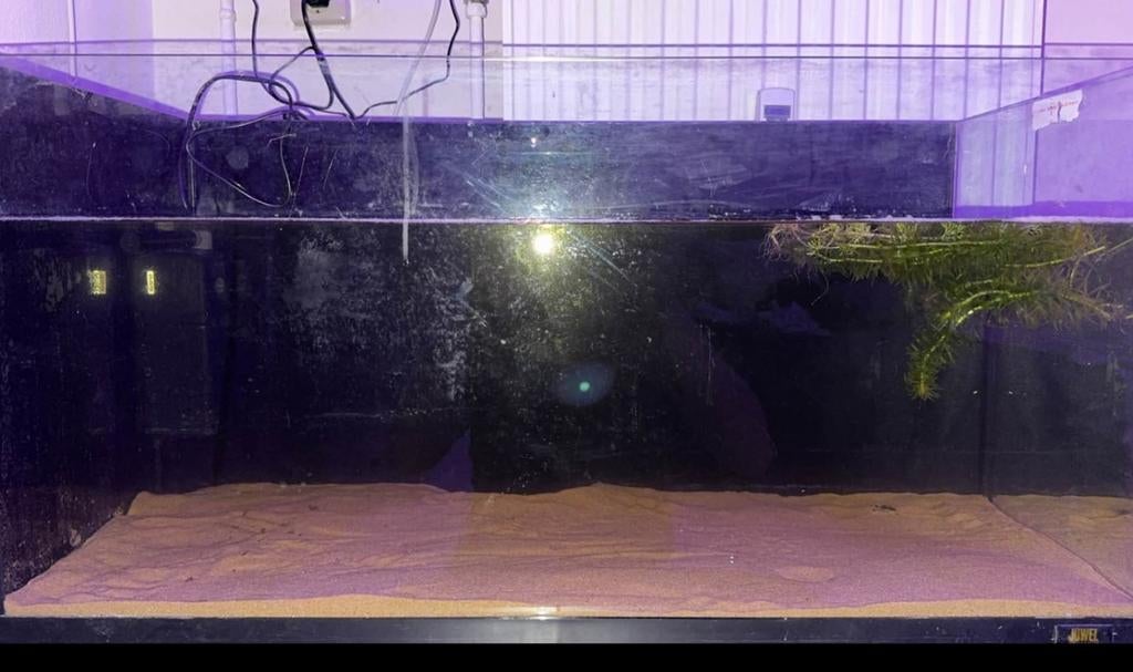 Aquarium L80xB35xH40, Ophalen, Gebruikt, Leeg aquarium, Juwel