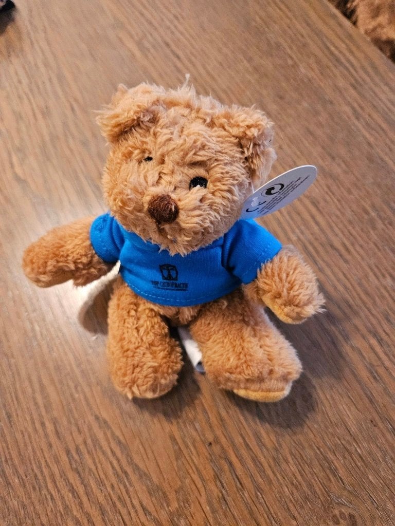 Schattige kleine teddybeer met blauw shirtje, Beer, Ophalen of Verzenden, Zo goed als nieuw, Met kleding of accessoire