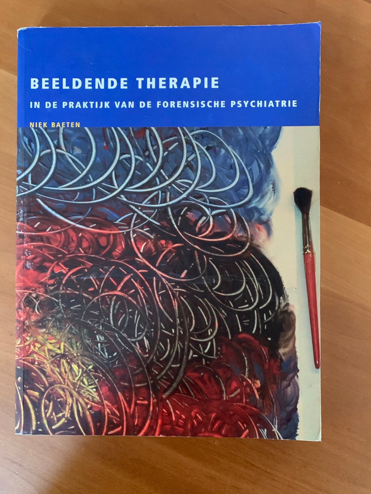 Beeldende therapie Forensische psychiatrie, Ophalen of Verzenden, Zo goed als nieuw, Klinische psychologie