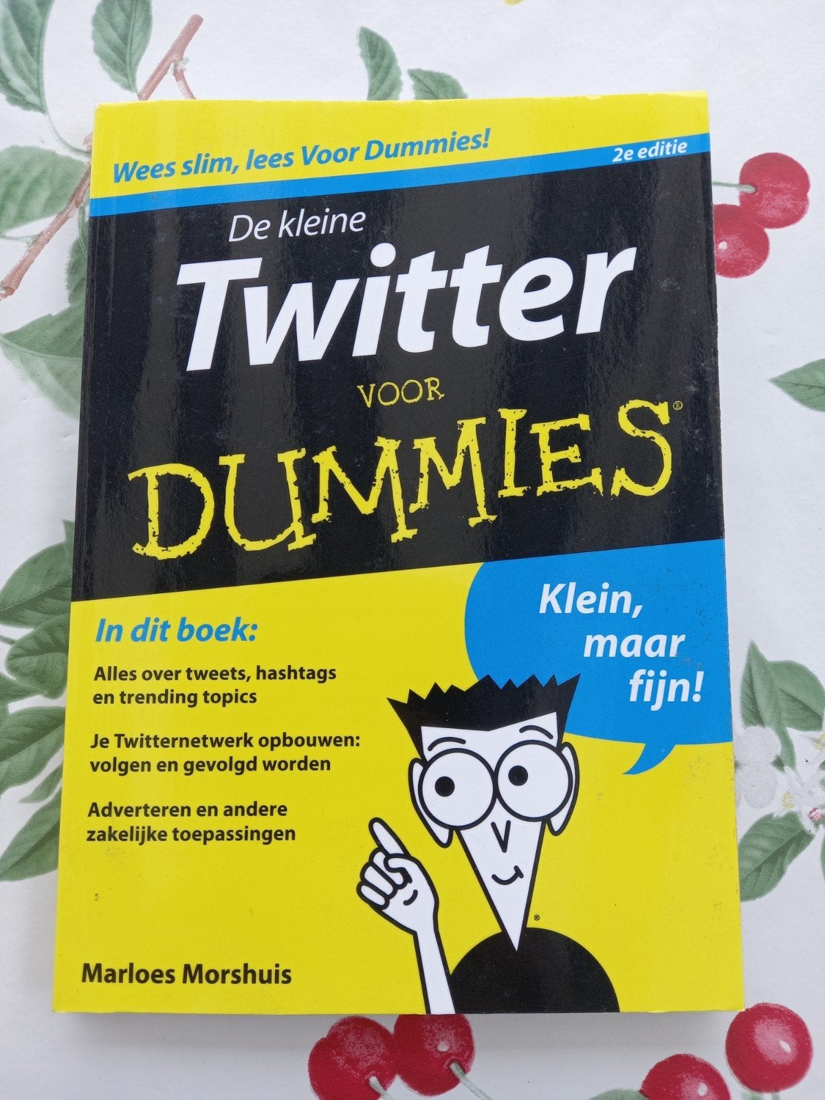 Marloes Morshuis - De kleine Twitter voor Dummies B, Ophalen of Verzenden, Zo goed als nieuw, Marloes Morshuis, Internet of Webdesign