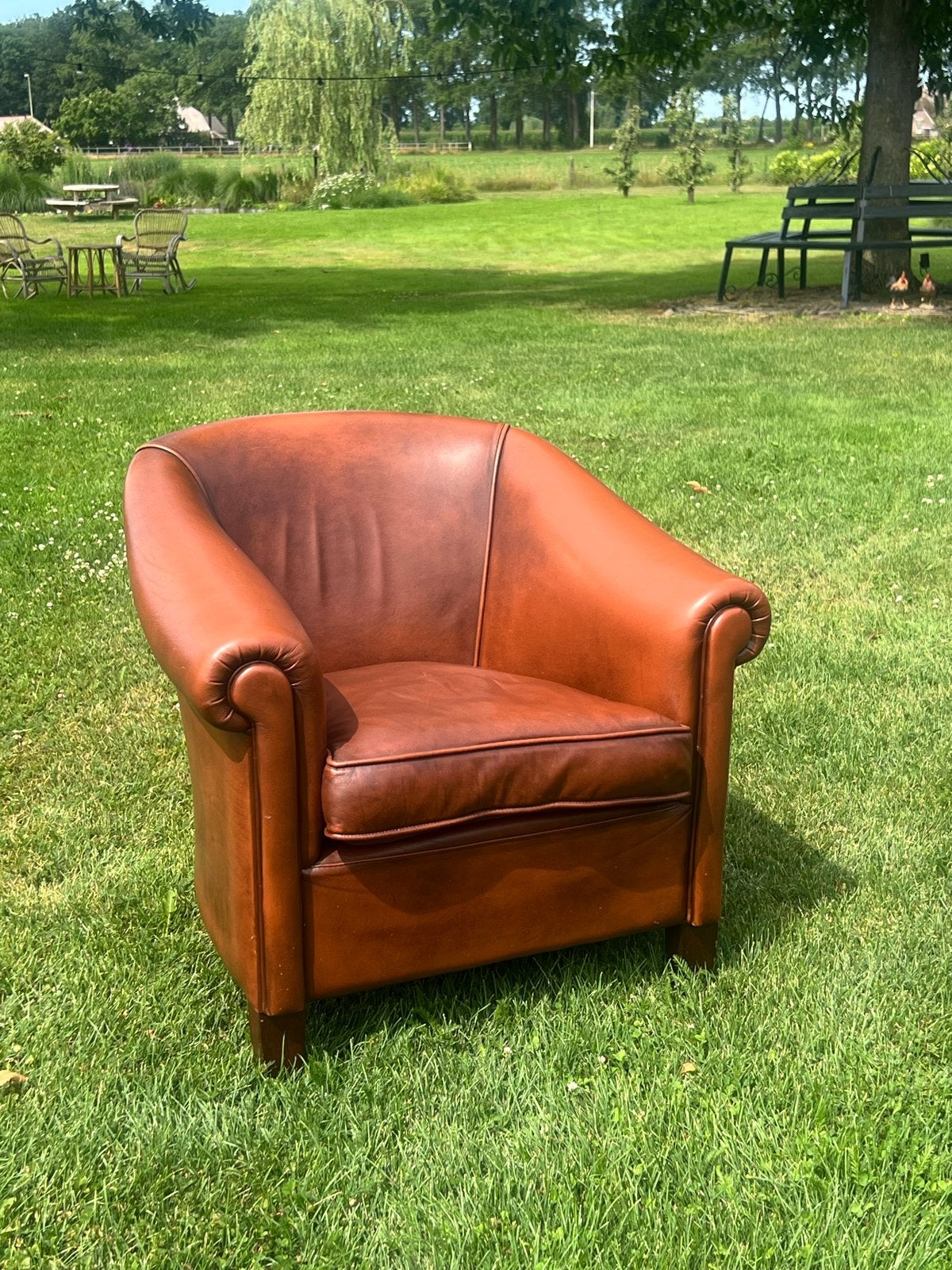 Leren clubfauteuil - Comfortabel en stijlvol, Ophalen, Gebruikt, Leer, 75 tot 100 cm
