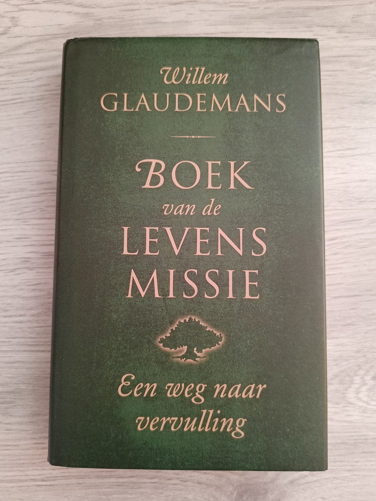 Willem Glaudemans - Boek van de levensmissie, Boeken, Achtergrond en Informatie, Spiritualiteit algemeen, Zo goed als nieuw, Willem Glaudemans