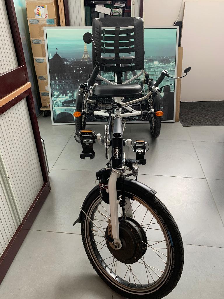Van Raam Easy Sport Elektrische Fiets, Ophalen, Zo goed als nieuw