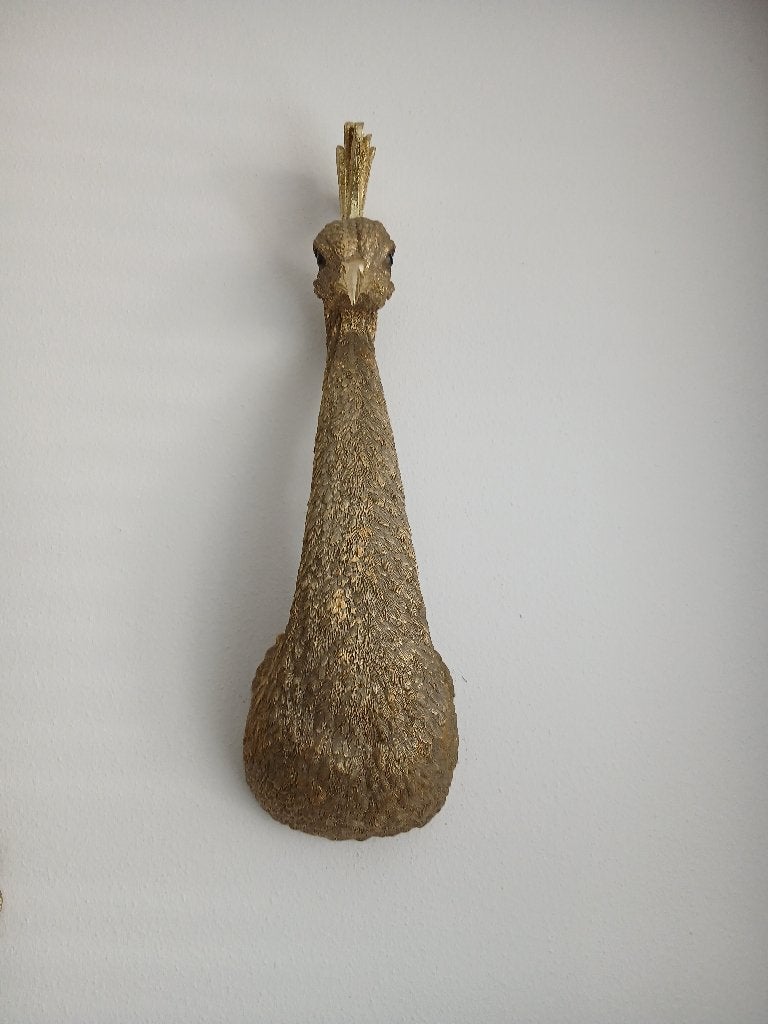 Kop van Pauw, Huis en Inrichting, Ophalen, 65 cm, Composieten, Modern