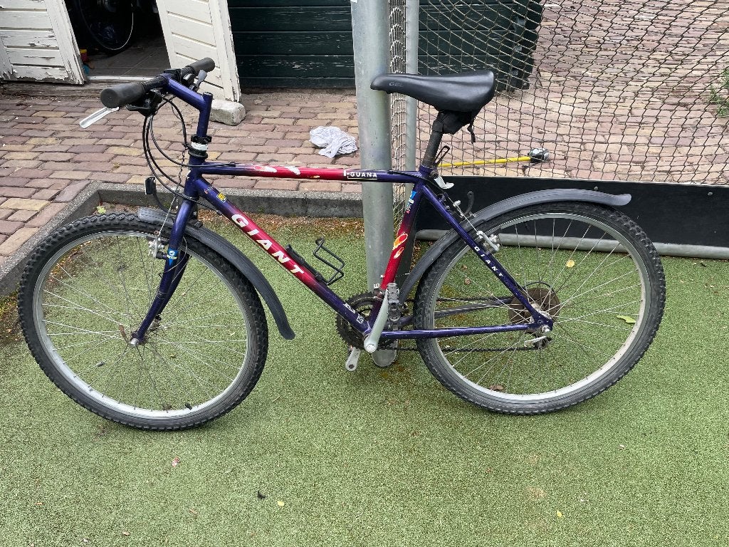 Giant mountainbike, Fietsen en Brommers, Fietsen | Mountainbikes en ATB, 45 tot 49 cm, Ophalen, Gebruikt, Giant