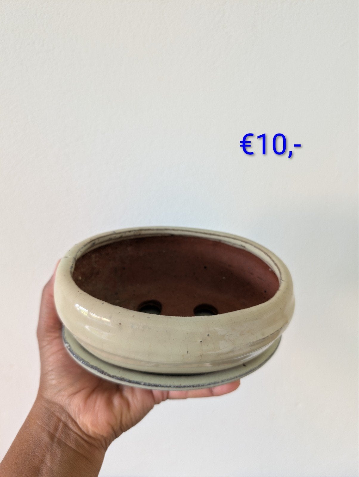 Bonsai schaal mintgroen, Ophalen, Aardewerk, Minder dan 25 cm, Minder dan 40 cm