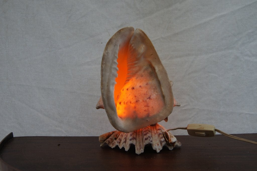 Schelpen Lamp, Ophalen of Verzenden, Gebruikt, Overige materialen