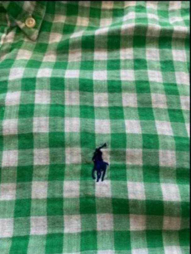 Ralph lauren L, Kleding | Heren, Overhemden, Ophalen of Verzenden, Zo goed als nieuw, Groen, Halswijdte 39/40 (M)