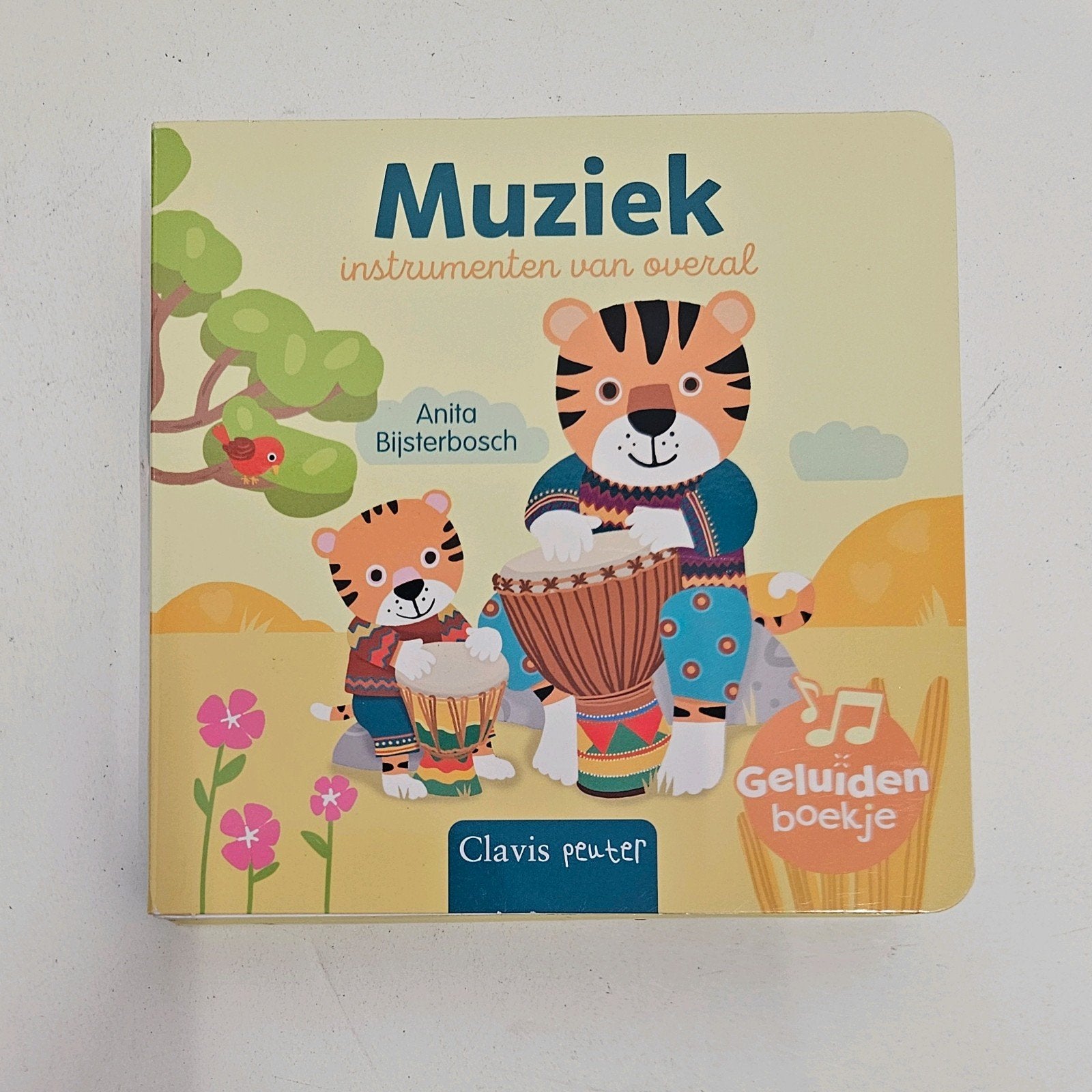 Anita Bijsterbosch - Muziekinstrumenten van overal, Ophalen of Verzenden, Zo goed als nieuw, Anita Bijsterbosch