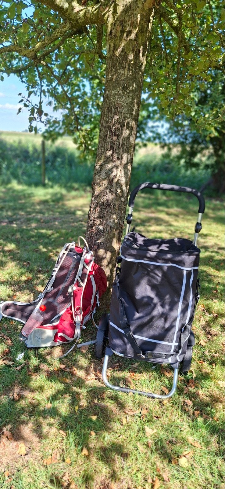 Trolley voor boodschappen. Boodschappentrolley. ZGAN., 40 tot 60 cm, Zwart, Ophalen of Verzenden, Zo goed als nieuw