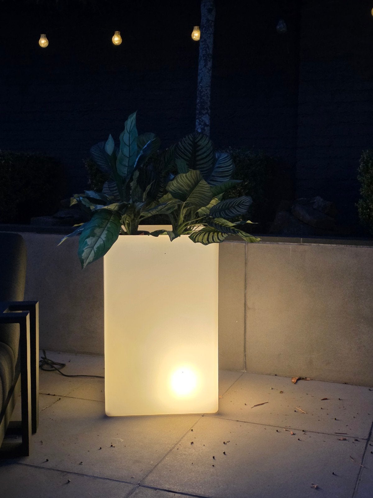 Bloom Square XL Holland Plantenbak met Interne Verlichting, Tuin en Terras, Ophalen, Kunststof, Gebruikt, 60 tot 100 cm