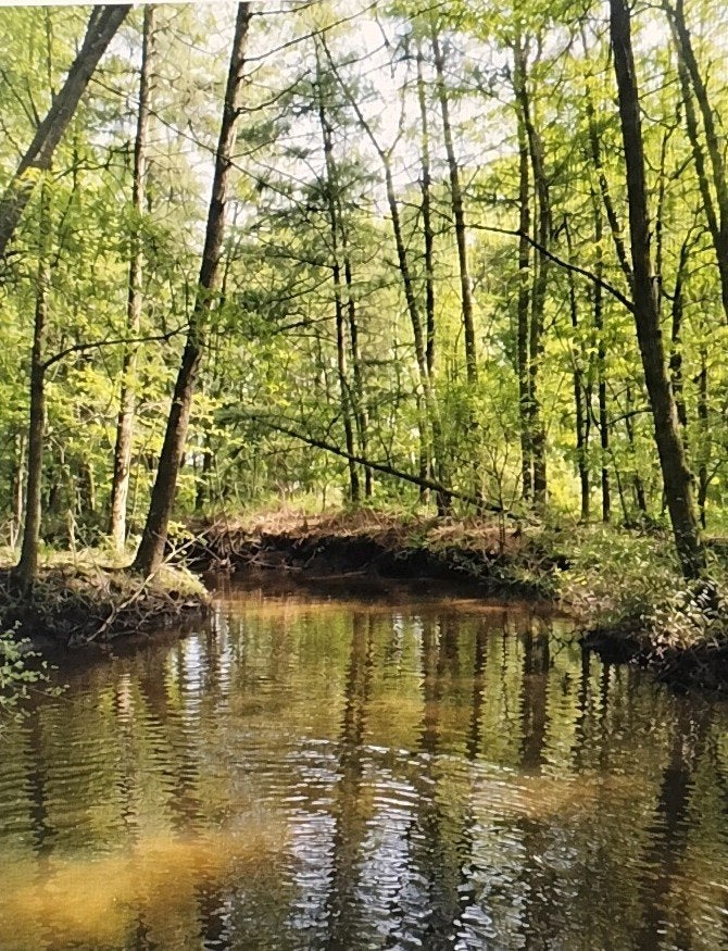 Natuur, coach locatie te huur, Ophalen, Nieuw, Handschoenen, Hoed of Pet
