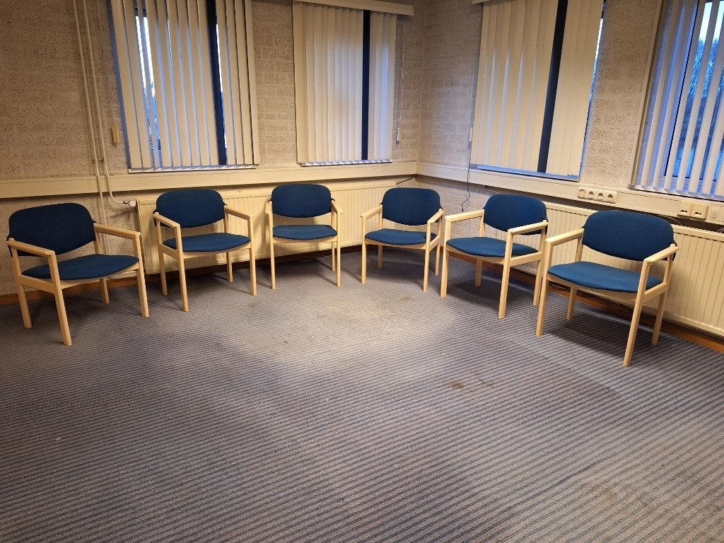 Kantoorstoelen, Stoelen 6 stuks blauw, Ophalen, Blauw, Eén