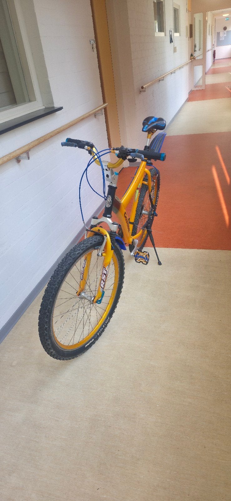 Te koop een zeer mooie vernieuwde Gazelle Instinct 26 inch., Fietsen en Brommers, Cruiser, Ophalen of Verzenden, 55 tot 59 cm