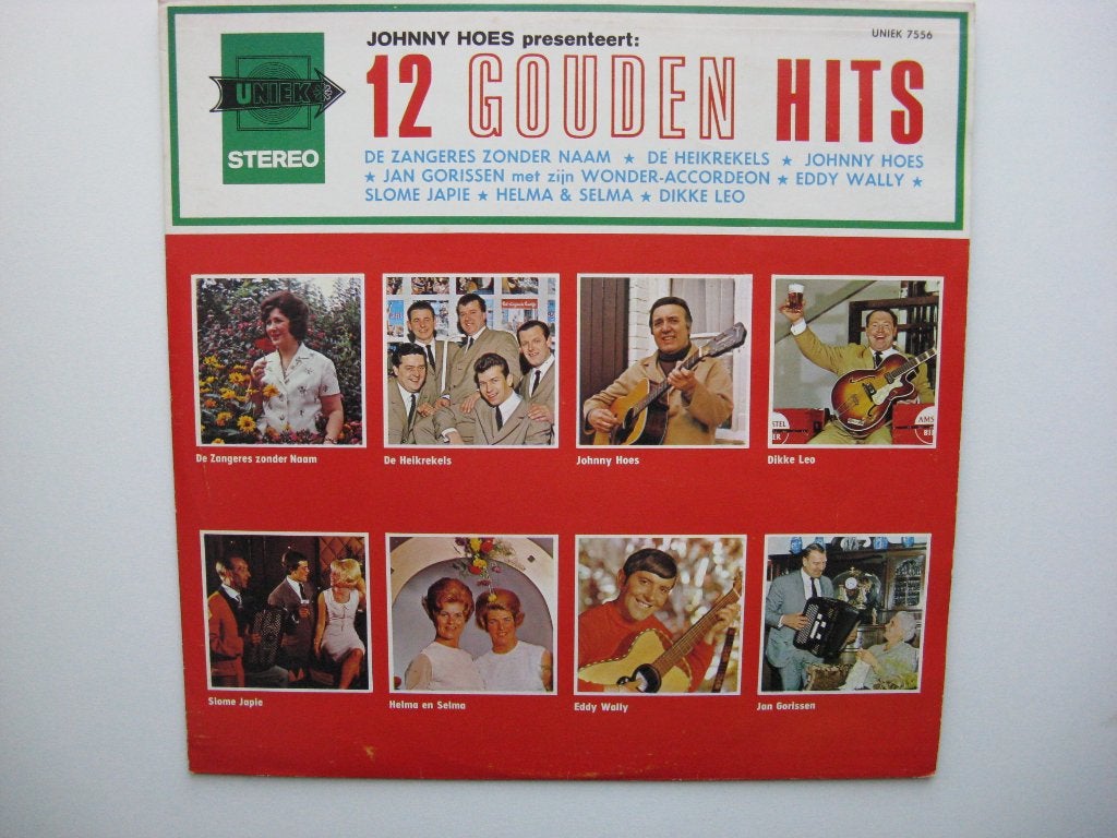 Johnny Hoes Presenteert 12 Gouden Hits, Ophalen of Verzenden, Zo goed als nieuw, 12 inch