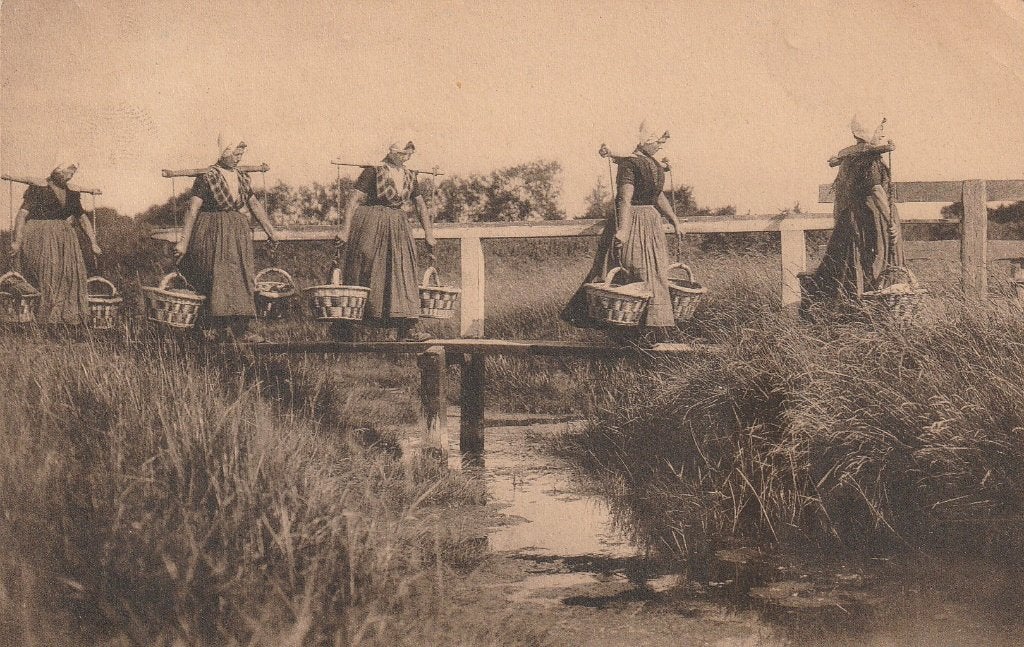 Zeeuwse Klederdracht, Ophalen of Verzenden, Voor 1920, Ongelopen, Klederdracht
