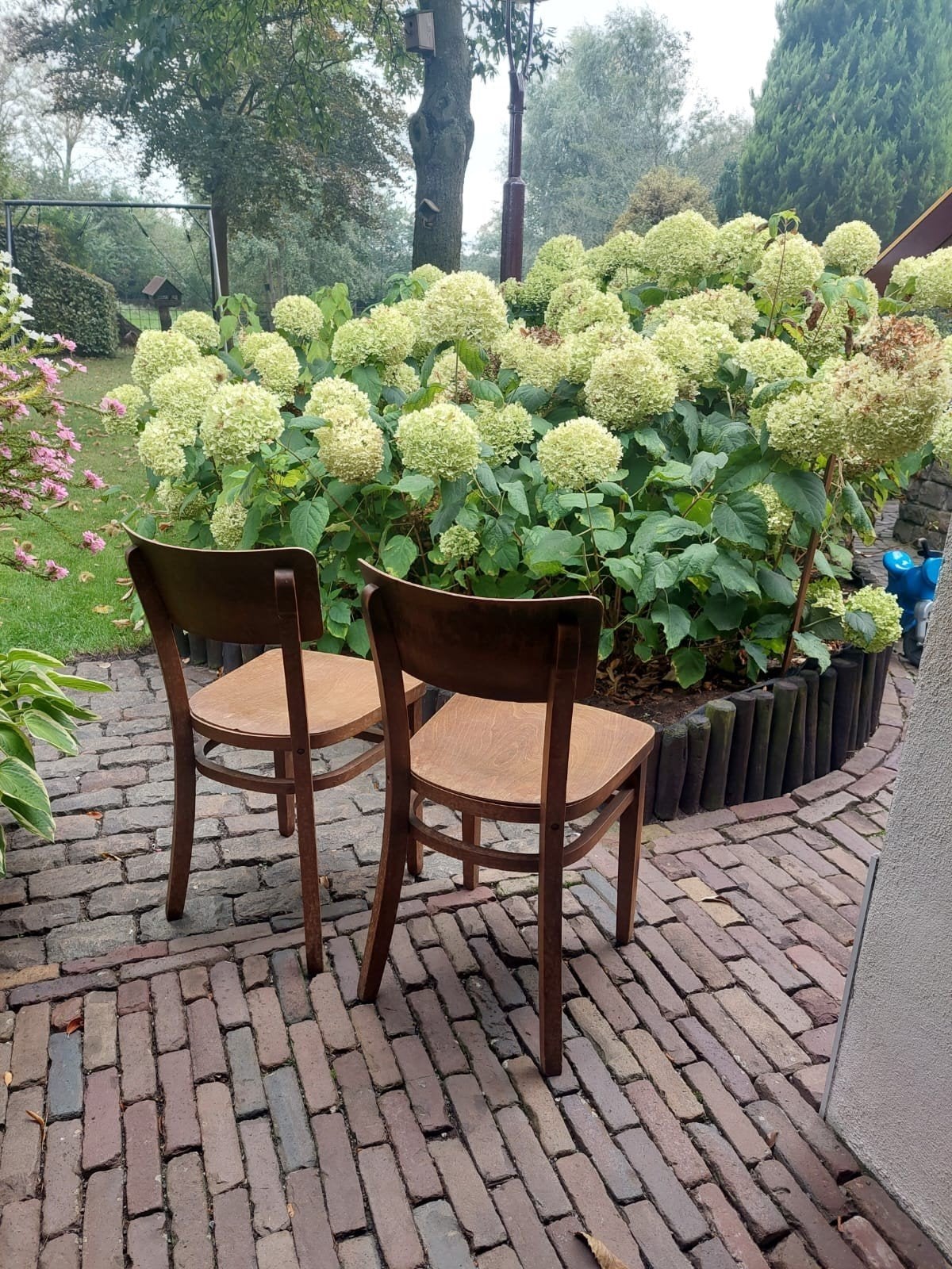 Set van 6 Boeren Café Stoeltjes - 40x40cm zitting, 81cm hoog, Ophalen, Gebruikt, Bruin, Landelijk, Café, Boeren