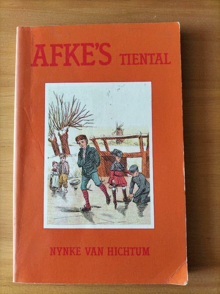 Afke's Tiental - Nynke van Hichtum (Kinderboek), Gelezen, Nynke van Hichtum, Ophalen of Verzenden, Fictie