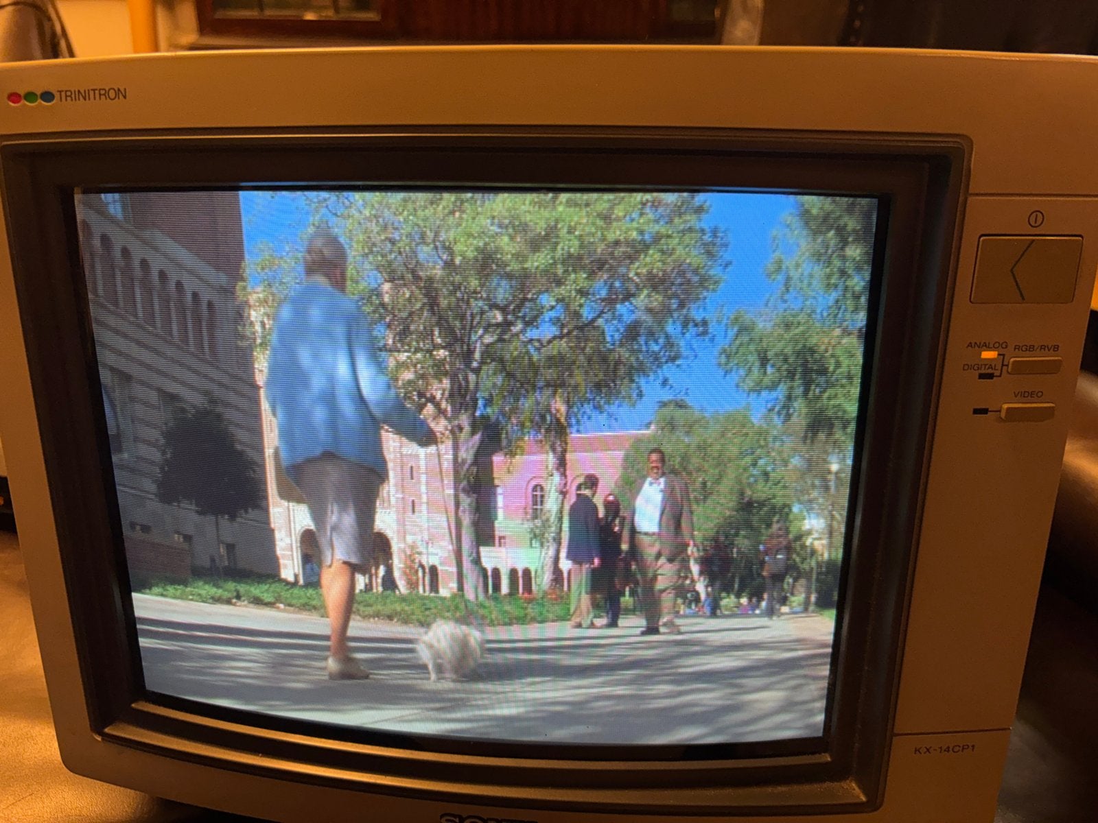 Sony Trinitron KX-14CP1 CRT Monitor - Vintage Gaming, Gebruikt, 50 Hz, Ophalen of Verzenden, HD Ready (720p)