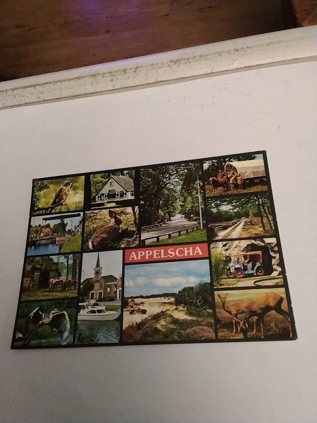 Vintage Ansichtkaart Appelscha - Diverse Beelden 1982, Verzamelen, Ophalen of Verzenden