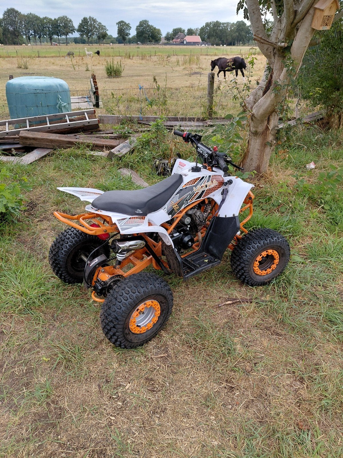 2025 Quad Automaat Ultra Motocross 125 CC Pro Revolt ATV05, Fietsen en Brommers, Ophalen of Verzenden