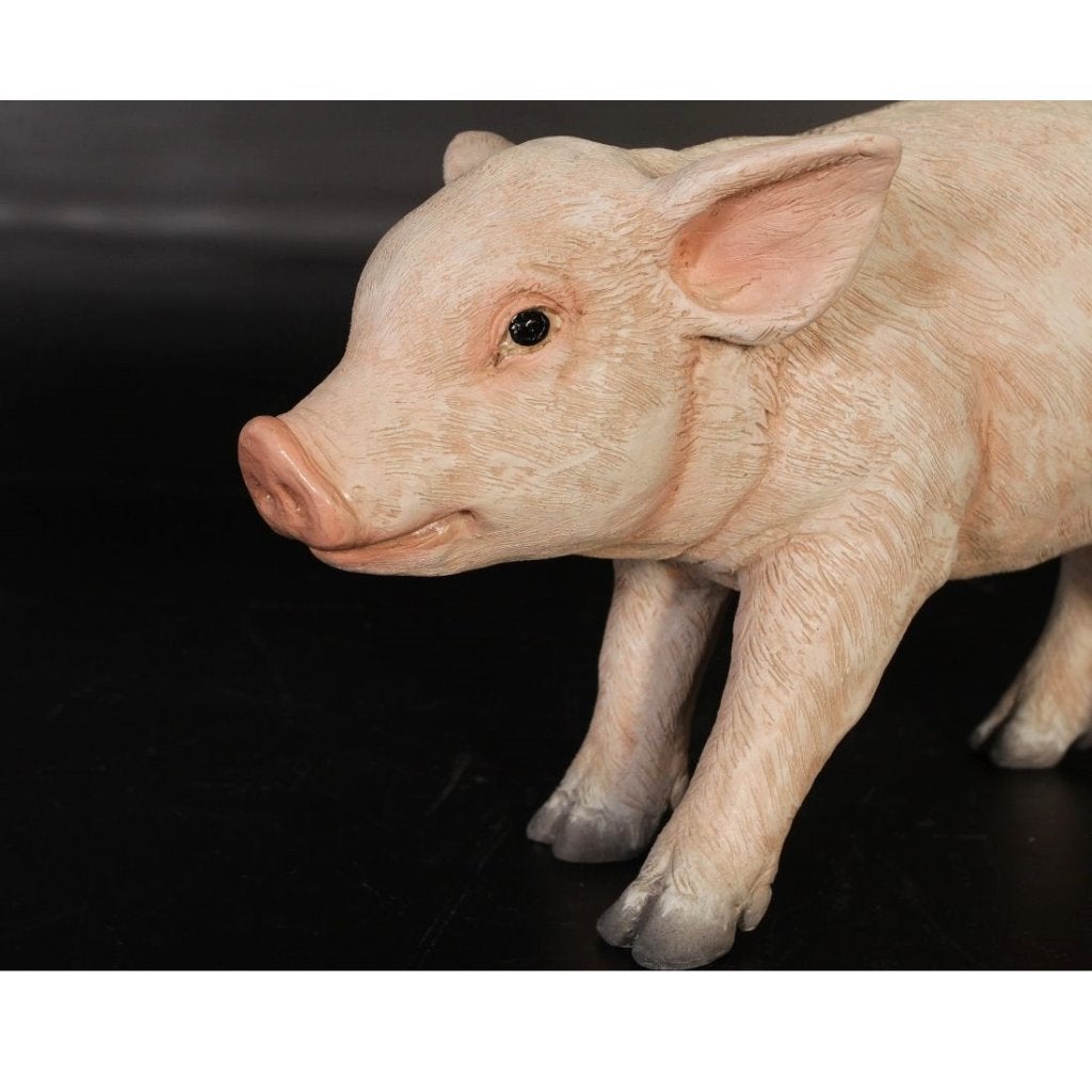 Standing Piglet – Varken beeld - Big Lengte 39 cm, Ophalen, Nieuw, Overige soorten, Overige typen