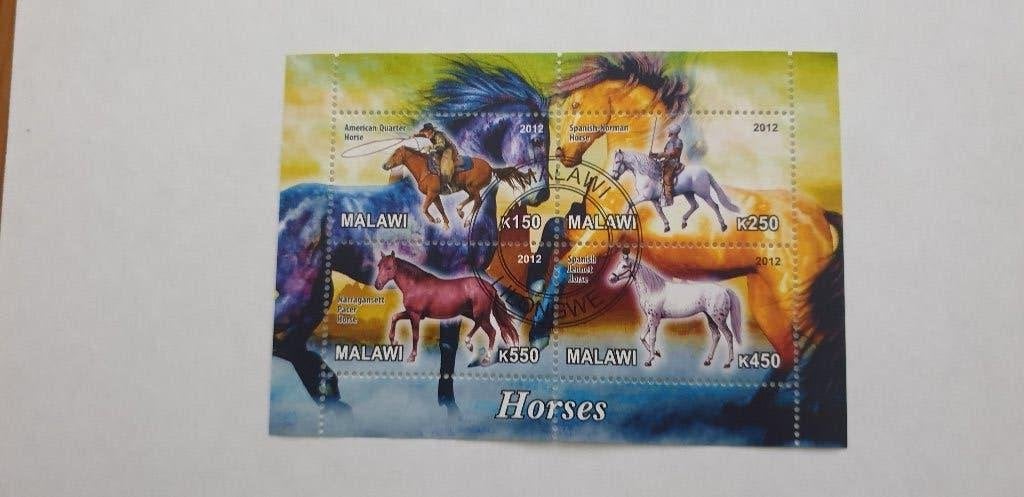 5304 malawi horses paarden, Verzenden, Overige landen